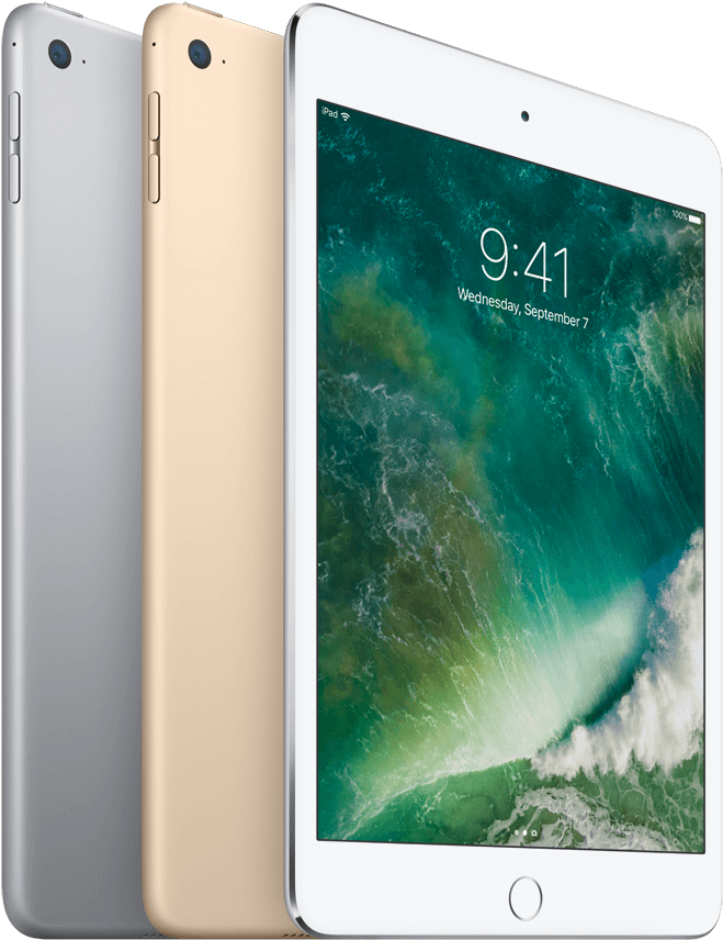 Ipad Mini 4 Family - Apple Ipad Mini 4 Wi-fi 64gb Reburbished - Space Gray (827x1024), Png Download