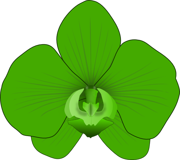 How To Set Use Green Orchid Clipart (600x535), Png Download
