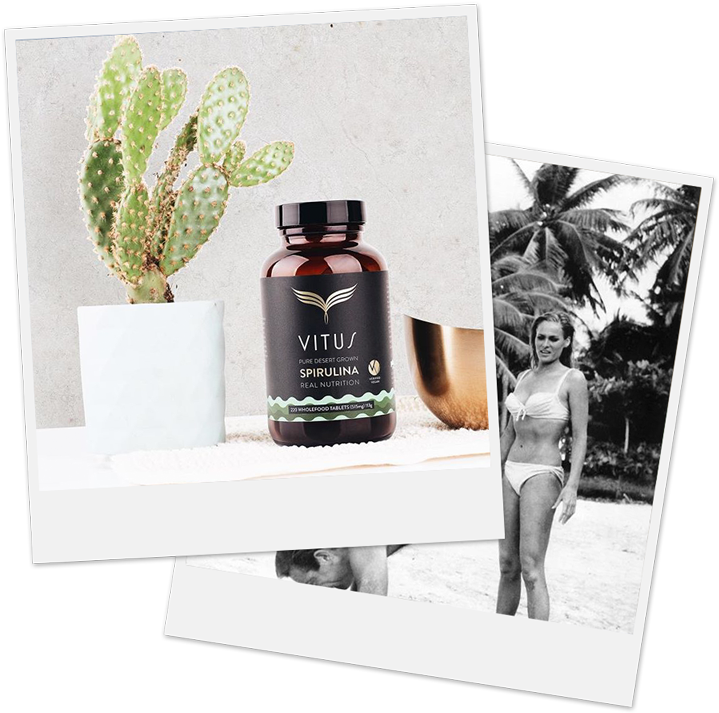 Poloro#nutrition-retro - Celebrities Photo - Sean Connery (james Bond) & (800x800), Png Download