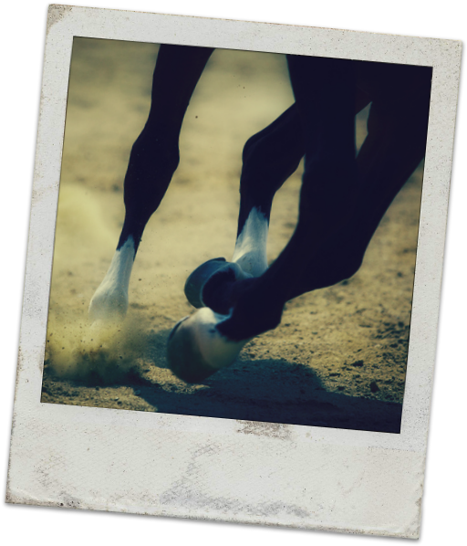 Race-poloroid - Horse Galloping (520x606), Png Download