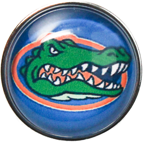 Gator License Plates (498x490), Png Download