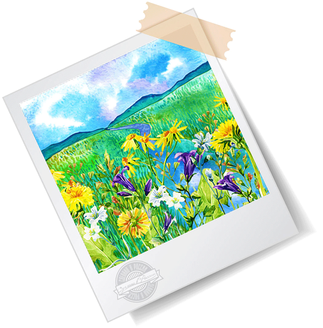 Вы Хотите Хотя Бы Одним Глазком Взглянуть На Производство - Tea (1050x1065), Png Download