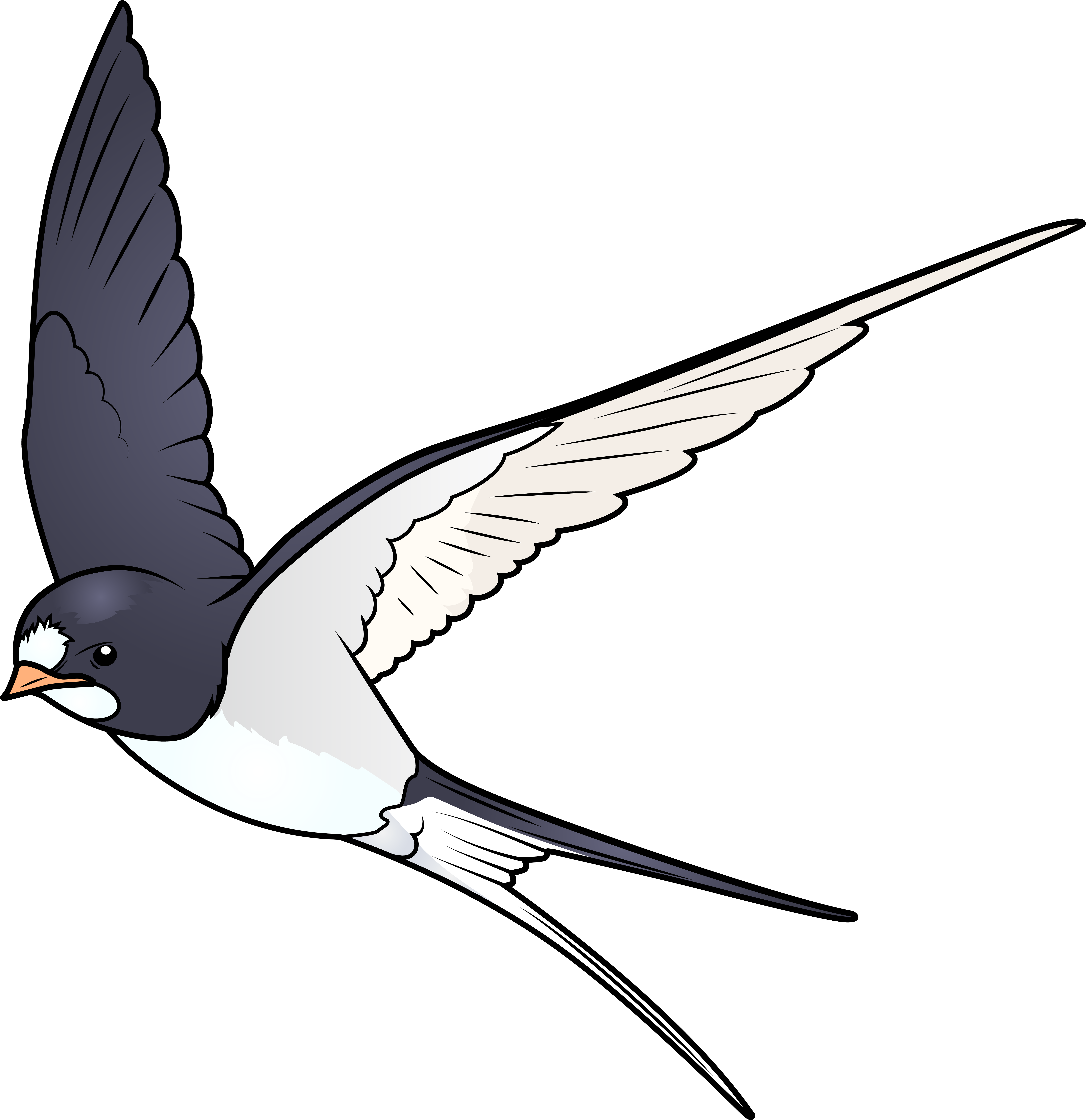Cartoon Bird Png (7759x8000), Png Download