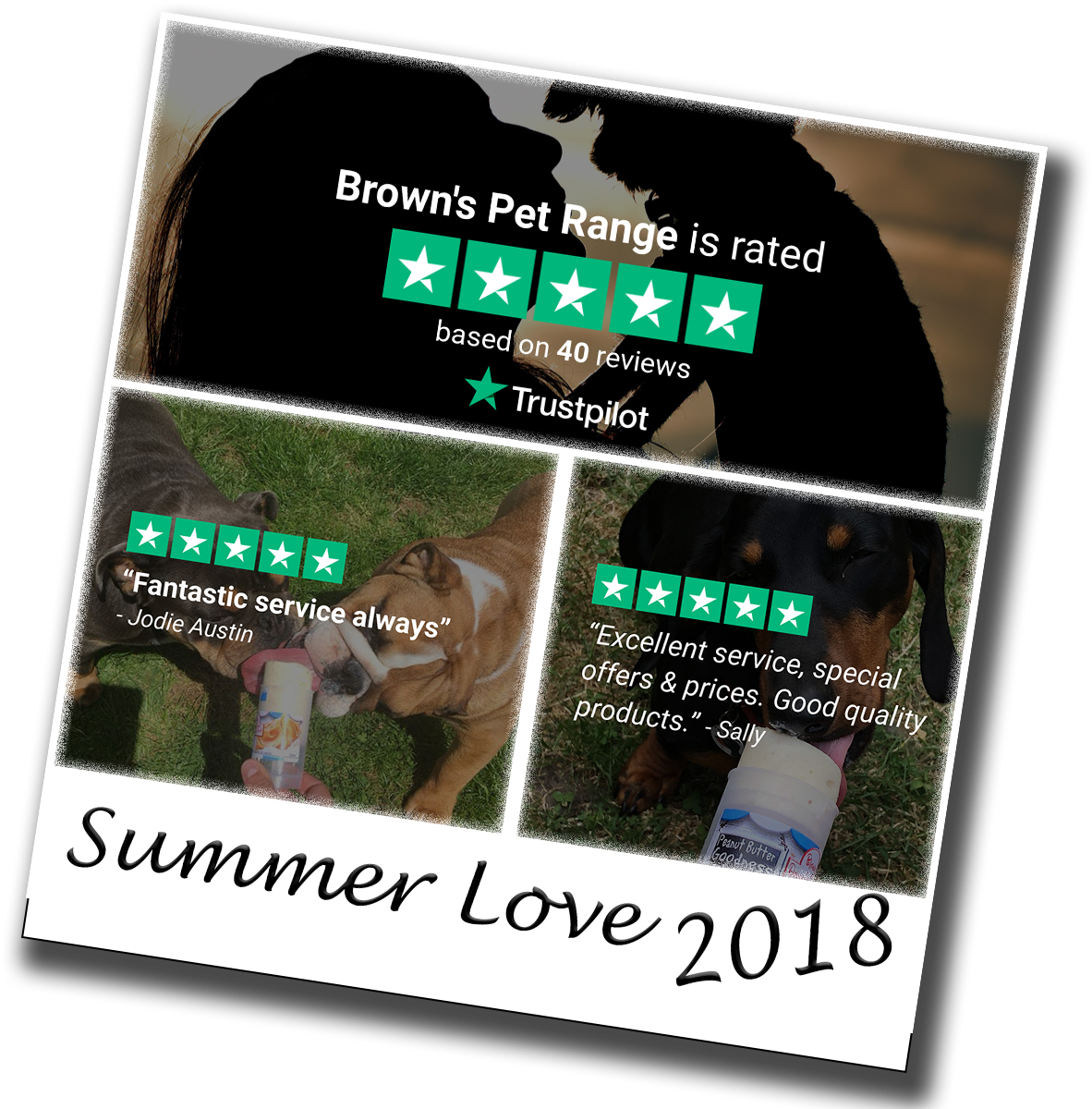 Come Back Spring - Flyer (1200x1200), Png Download