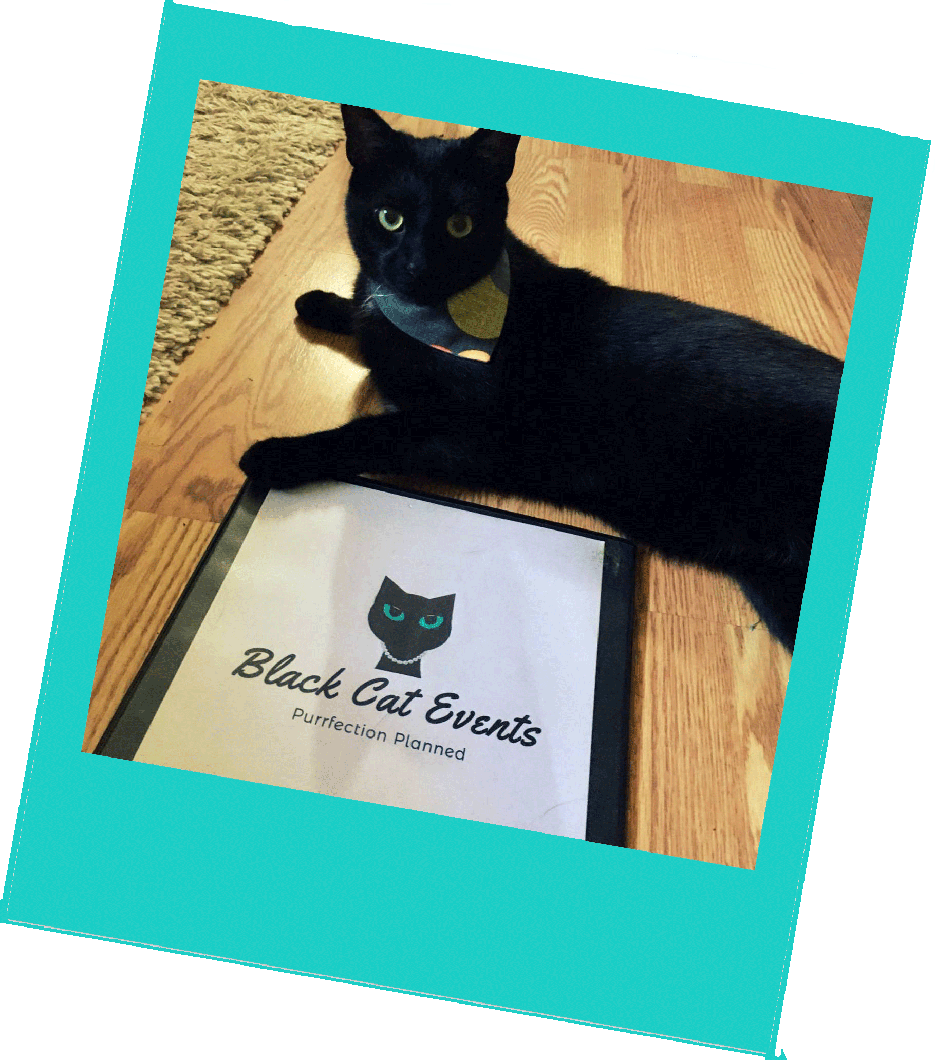 Hi There - Black Cat (1820x2064), Png Download