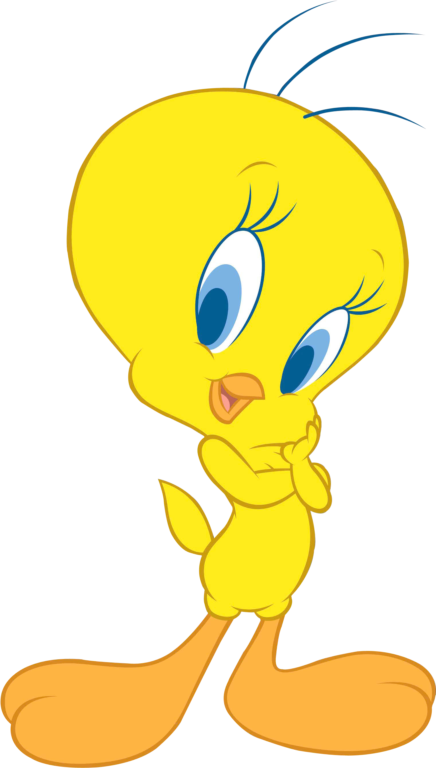 Tweety Bird Png Transparent Image - Tweety Bird Towel Transparent Background (500x810), Png Download