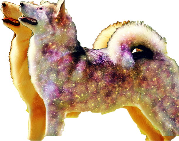 Mane (610x480), Png Download