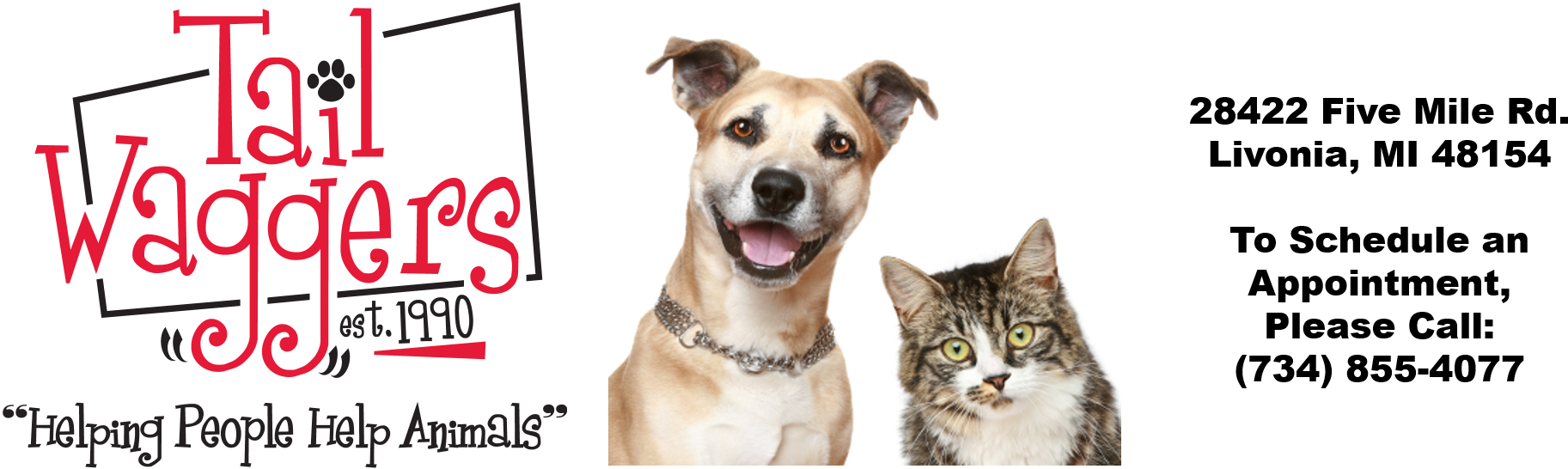 How Microchipping Works - Cat And Dog Buddies [book] (1906x545), Png Download
