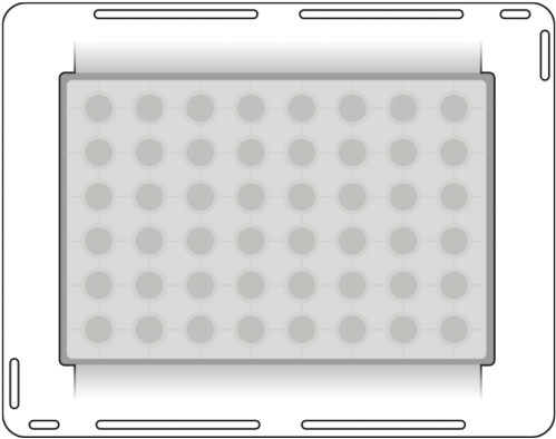Domino For Axion 48-well Plate - Andrew Alliance S.a. (500x516), Png Download