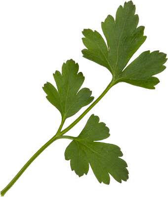 Curly Parsley, Baby Flat Parsley, - Parsley (340x397), Png Download