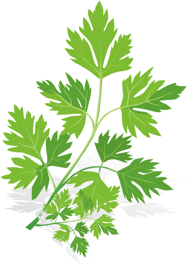 Spice Euclidean Vector Herb - Spices Vector (1000x1000), Png Download