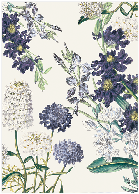 Savethedate Botanical Garden Pepperandjoy Pattern - Posterazzi Botanical Garden I Canvas Art - Piper Ballantyne (700x700), Png Download