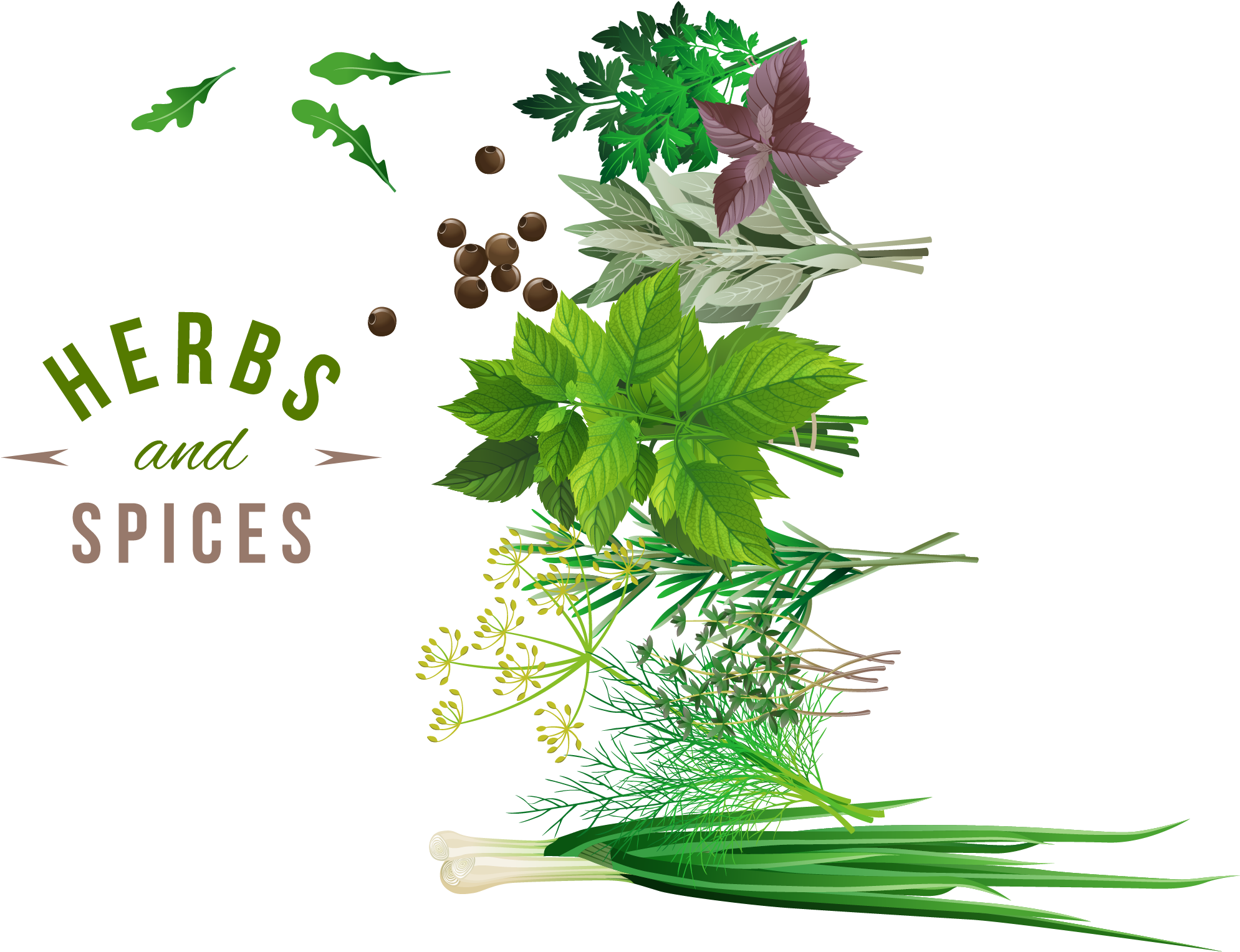 Herb Spice Vegetable - Png Herbs And Spices Free Hd (2083x2083), Png Download