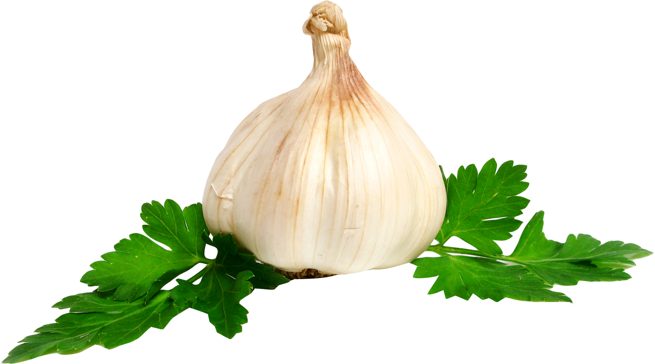 Garlic Png Image - Garlic .png (2185x1259), Png Download