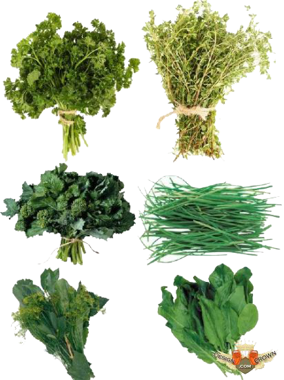 Herbs Png Photos - Herbs .png (412x550), Png Download