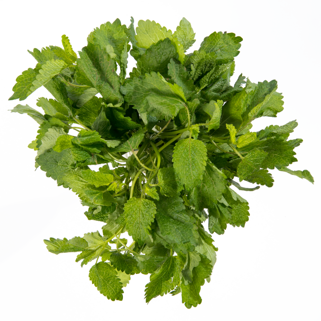 Lemon Balm - Parsley (653x653), Png Download