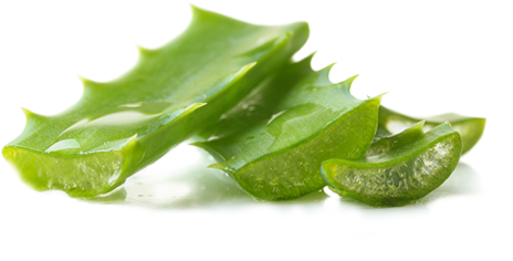 Aloe Vera Juice Soothes, Heals And Hydrates Skin With - Brisa Marina(ブリサ マリーナ) 日焼け止めuvクリーム(ホワイト) 70g Spf50 (500x500), Png Download