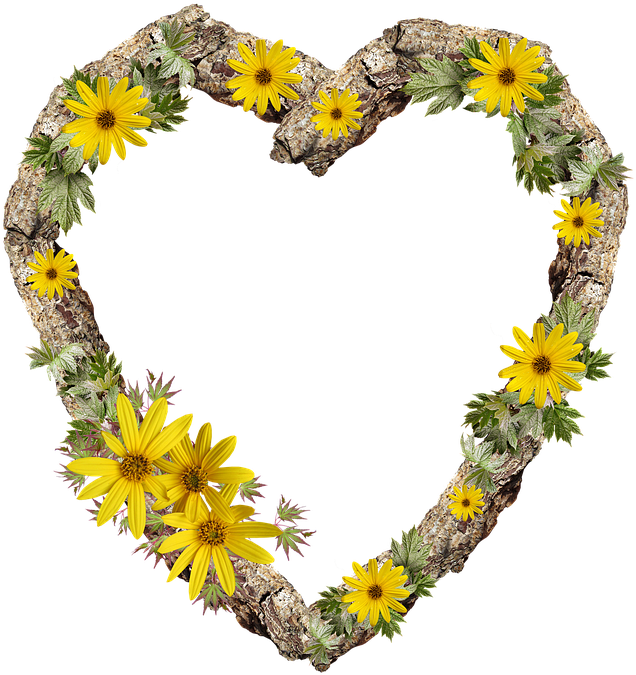 Frame, Border, Rustic, Heart, Daisy, Flower - Heart (672x720), Png Download
