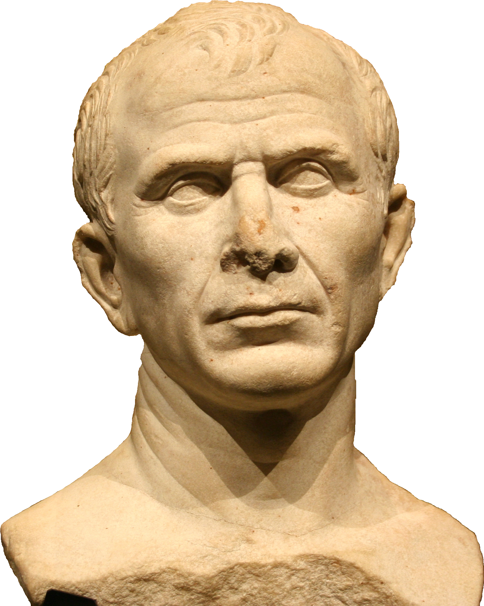 Retrato De Julio Cesar - Iulius Caesar (1780x2098), Png Download