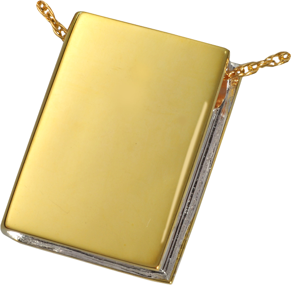 The Book Cremation Pendant - Gold-plated Book Cremation Jewelry: The Sequel (600x600), Png Download