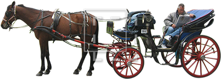 Horse And Carriage Png - Horse Drawn Carriage Png (450x450), Png Download