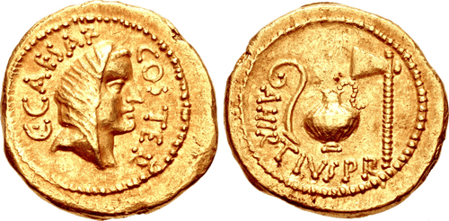 Flori Moneda (500x246), Png Download