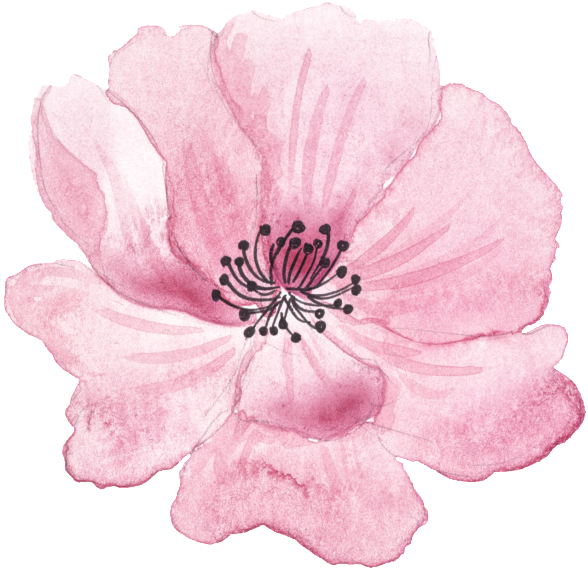 Pink Hand Painted Flowers Halloween Transparent Decorative - Headband (1024x1024), Png Download