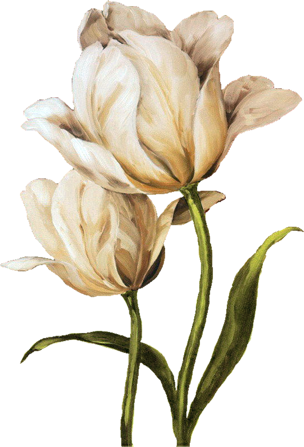 Decoupage Flower, Flower Painting, Flower Painting - Tulip Waltz Ii Canvas Wall Art, Multicolor, 24x36 (1084x1600), Png Download