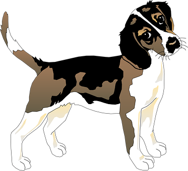 Black White Dog Beagle Pet Animal Mammal F - Beagle Dog T Shirt (374x340), Png Download