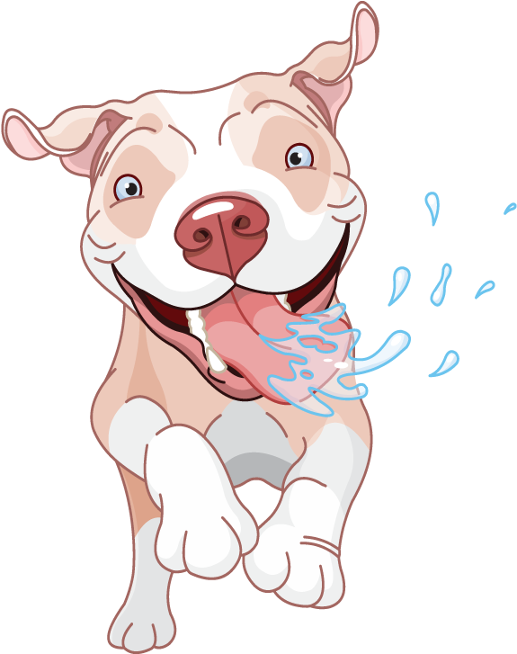 Basic Rules For Dogs - Dog Valentine's Day Case - Ipad Air (600x750), Png Download