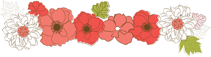 Retailer Application Form - Chocolote Cosmos (850x236), Png Download