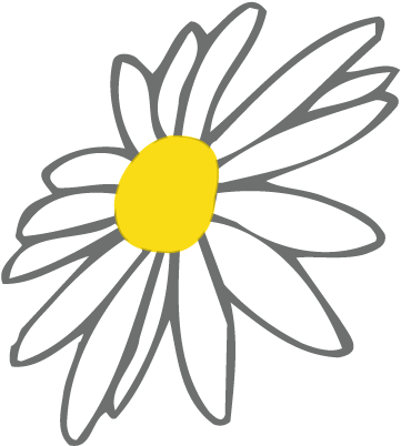 Daisy Flower Png (500x479), Png Download