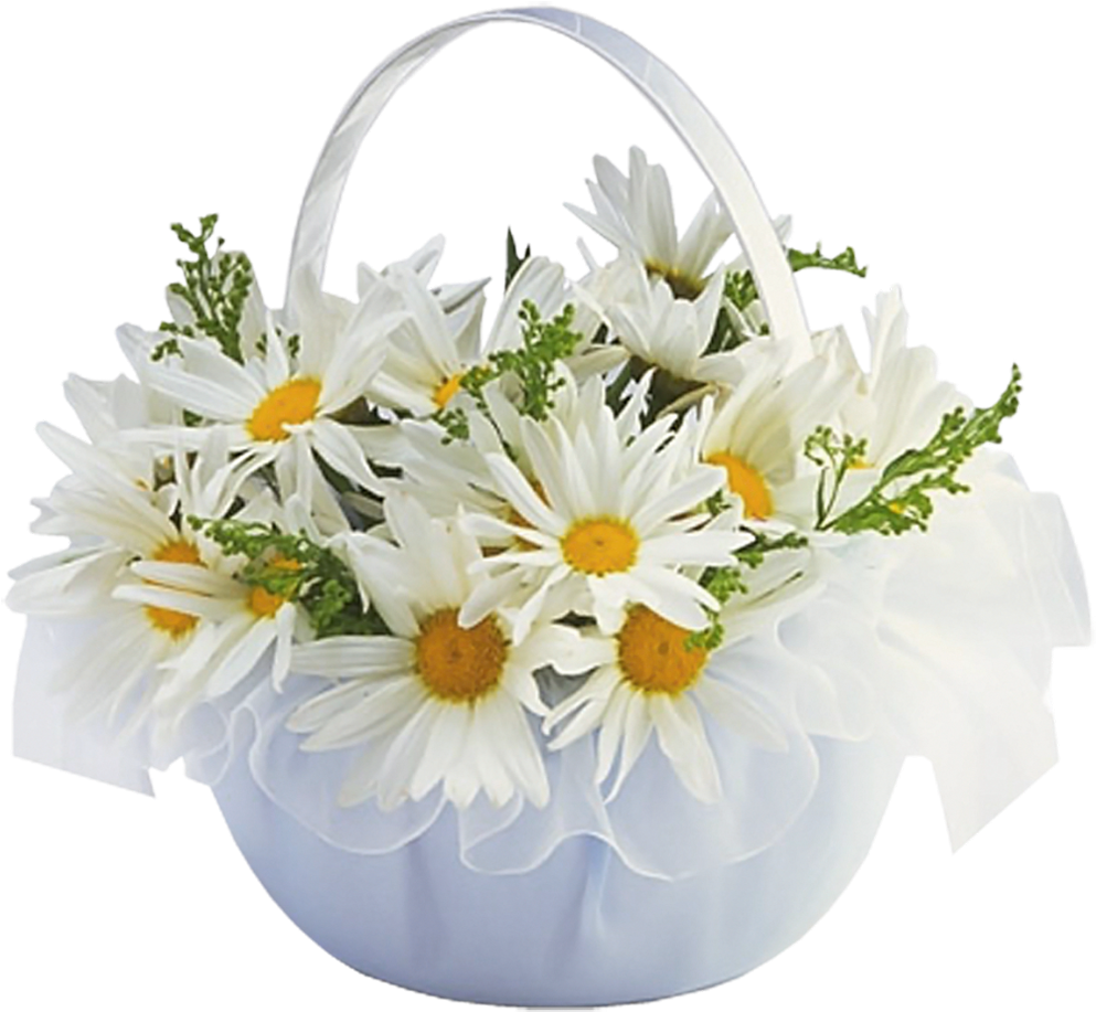 Basket Transparent Daisy - Feliz Dia De Las Madres Proverbios (1000x939), Png Download