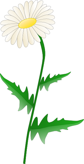 Daisy Clipart Transparent Background - Daisy Clipart (282x549), Png Download