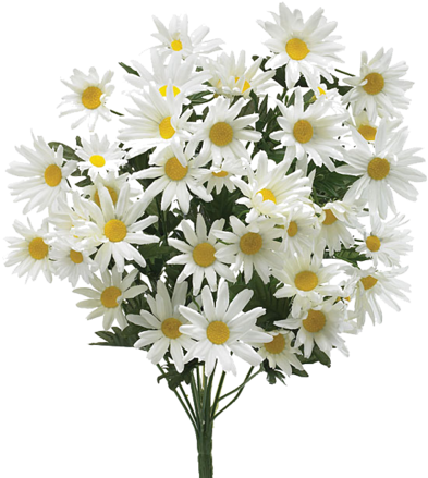 68 Images About 💐tumblr Flower Png💐 On We Heart It - Sympathy Funeral Flowers (500x449), Png Download