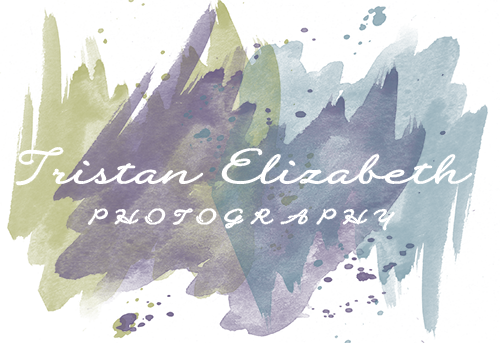 Tristan Elizabeth Photography - Photography (500x343), Png Download