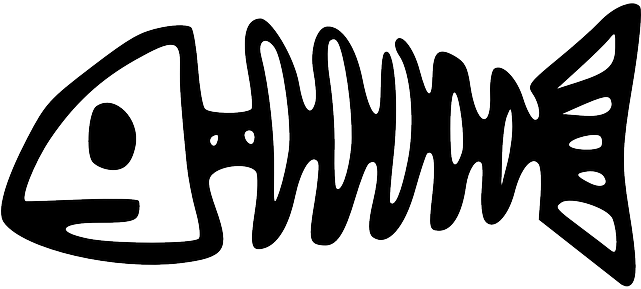 Fish Bones, Bones, Nature, Fish, Skeleton, Death, Dead - Zumba Logo Black And White (640x320), Png Download