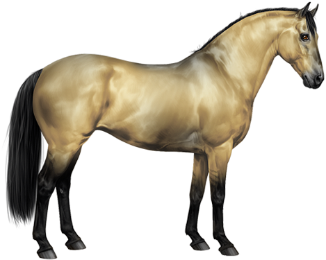 Amber Ivory Champagne Horse (600x450), Png Download
