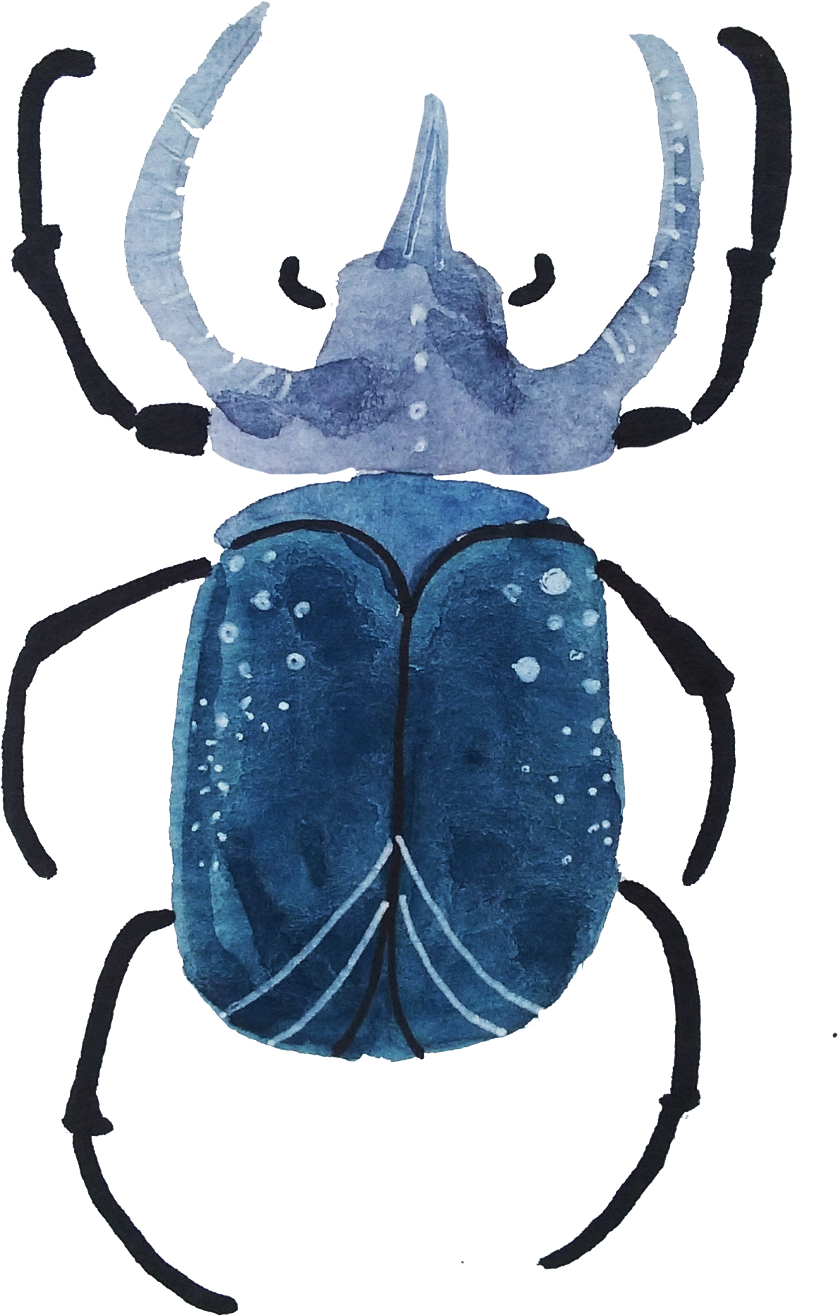 With Both Watercolors And Gouache - Dung Beetle (1312x1888), Png Download