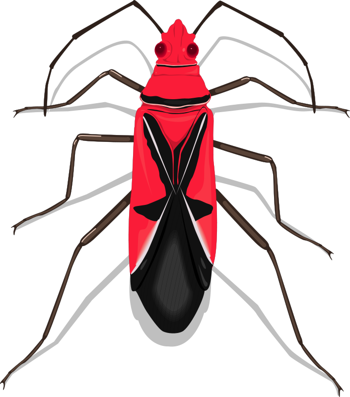 Free Vector Insect - Assorted Bugs (705x800), Png Download