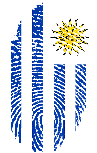 Resultado De Imagen Para Imagenes De Bandera De Uruguay - Imagen De Uruguay (404x640), Png Download