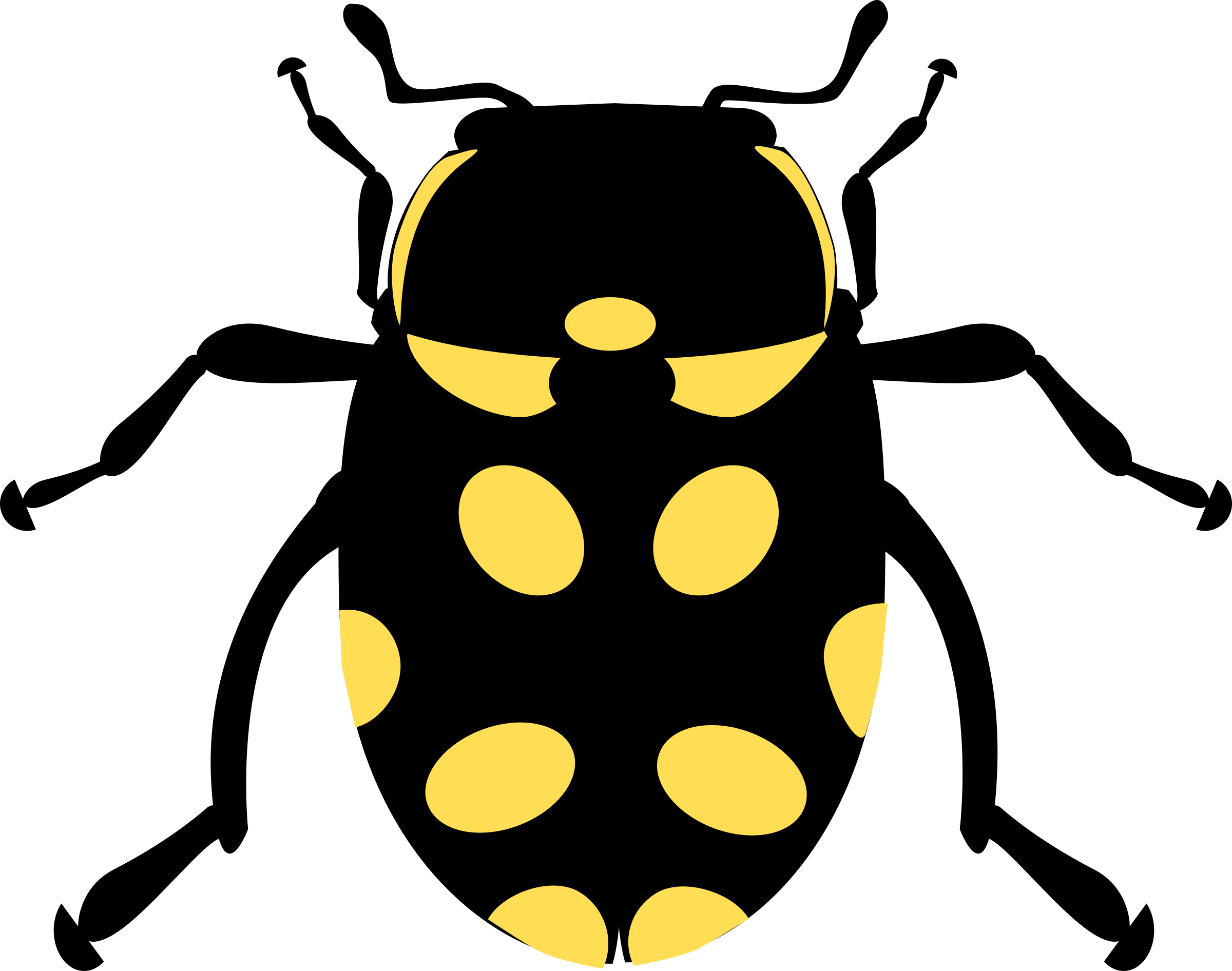 This Free Icons Png Design Of Eriopis Canrash Bug (2400x1892), Png Download