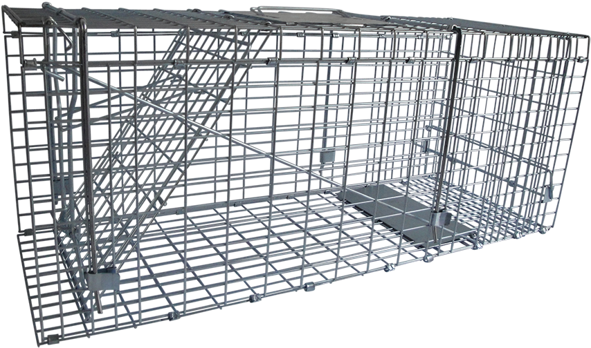 Humane Screen Cats Trap - מלכודת חתולים (1000x750), Png Download
