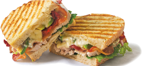 Panini Png - Ultimate Panini Press Cookbook: More Than 200 Perfect-every-time (600x210), Png Download