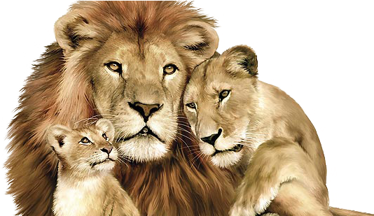 Lions Pride Of Awsome - Lion Lioness And Cub (548x308), Png Download