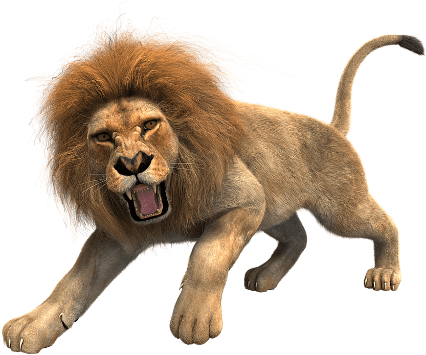 Download 2018 Messages Sticker 1 Lion Png Hd Full Size Png Image Pngkit