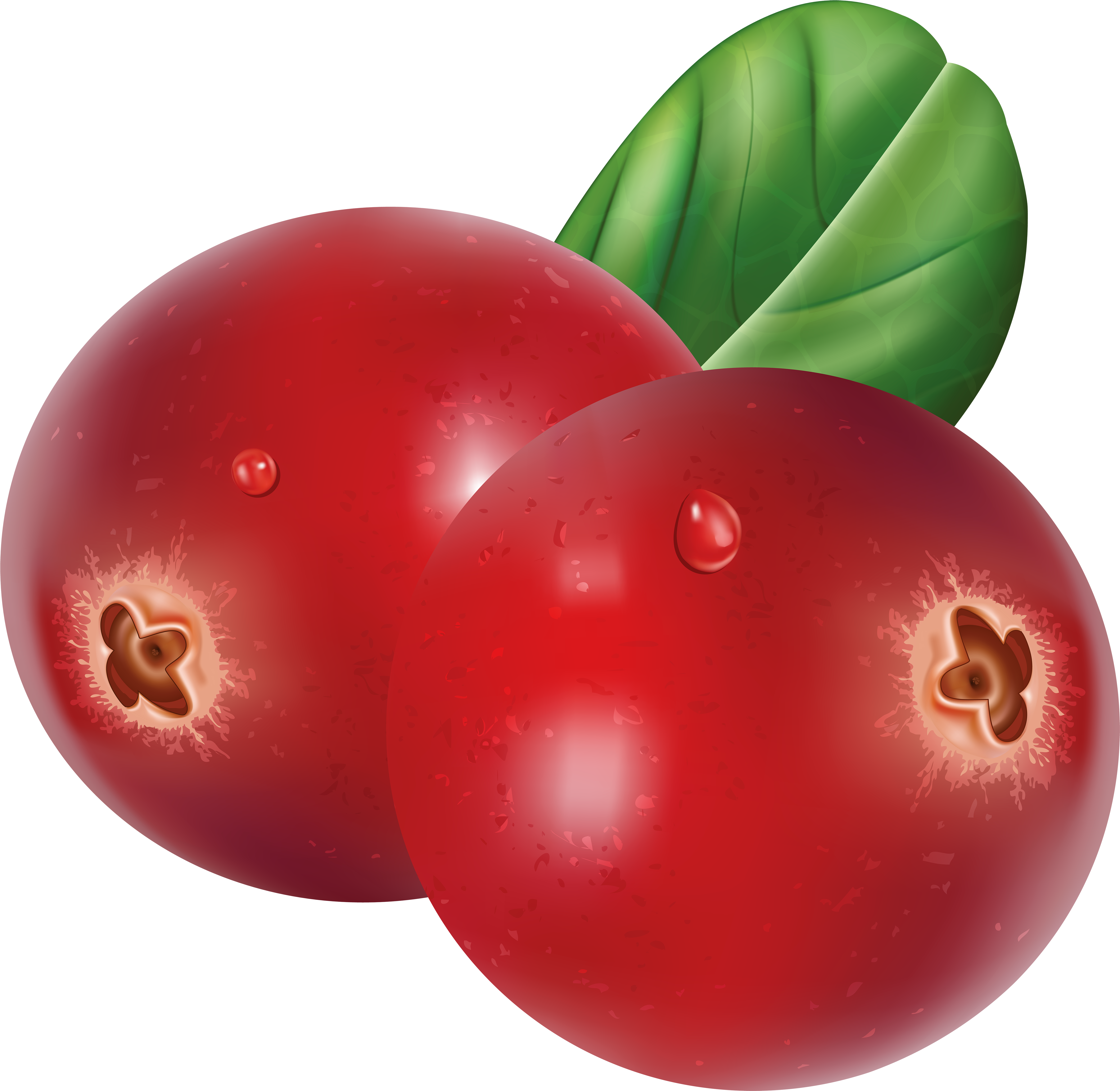 Cranberry Png (6000x5852), Png Download
