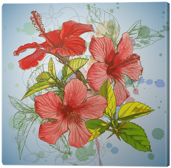 Hibiscus Flower & Watercolor Background, Stylized Orchid - Hibiscus Design Shower Curtain (400x400), Png Download
