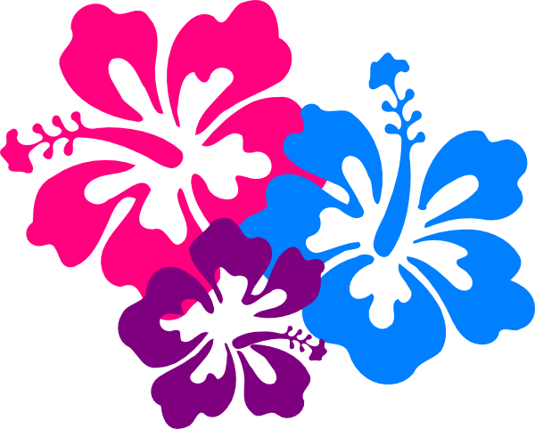Hibiscus Border Png - Hibiscus Clip Art (600x482), Png Download