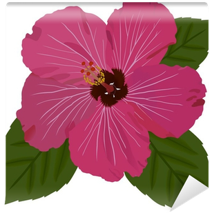 Hawaiian Hibiscus (400x400), Png Download